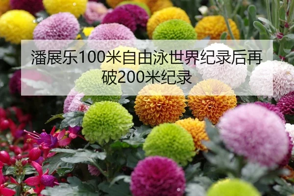 潘展乐100米自由泳世界纪录后再破200米纪录