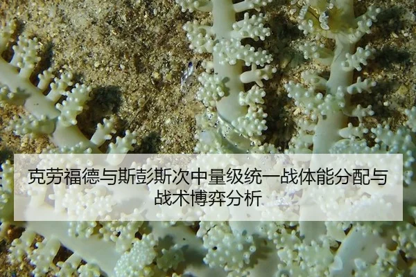 克劳福德与斯彭斯次中量级统一战体能分配与战术博弈分析